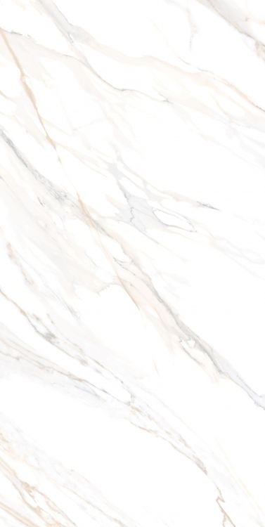 Aurum Calacatta Polished 24 x 48